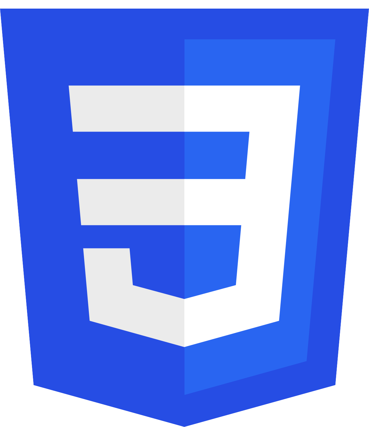 CSS logo