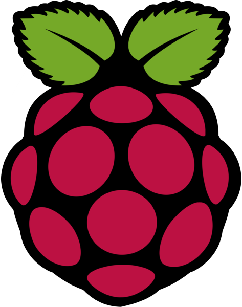Raspberry Pi logo